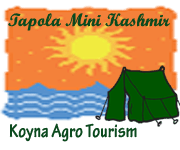 Tapola Hotels